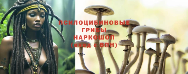 прущая мука Верея