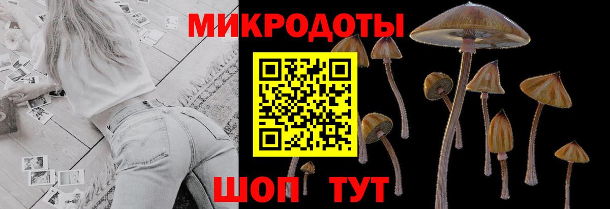 Рузаевка  Псилоцибиновые грибы Psilocybe  Псилоцибиновые грибы мицелий  Вход с VPN 